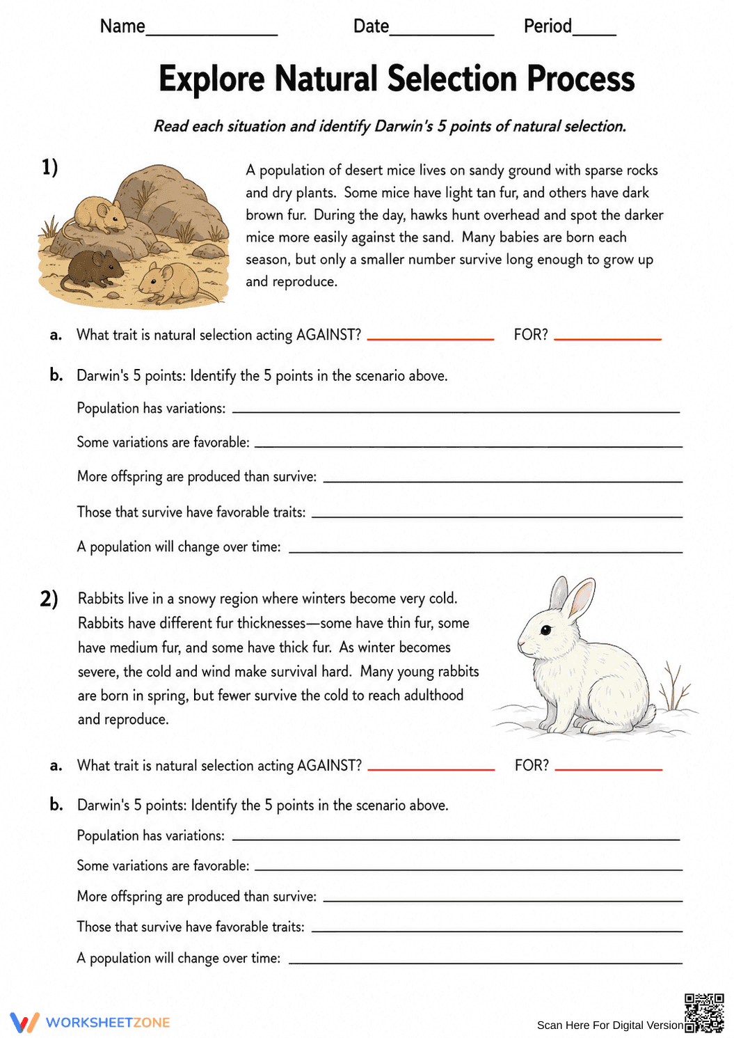 Grade 9 Natural Selection — Printable No-Prep Worksheet - Page 1