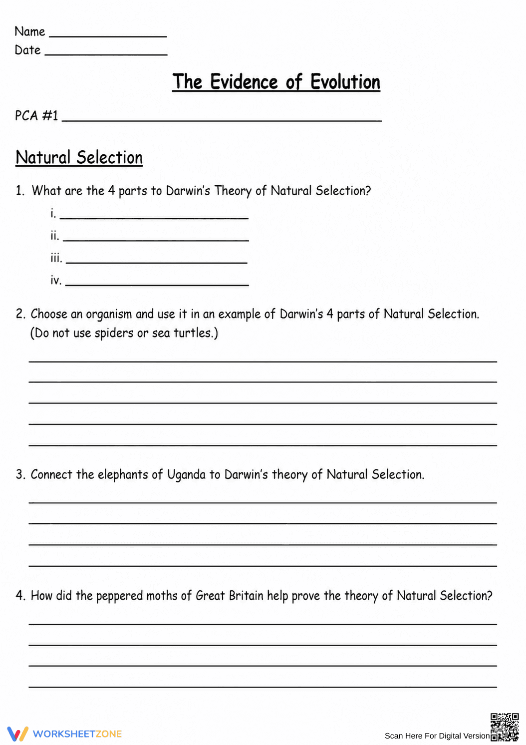 Natural Selection & Evolution Worksheet | Essential Biology - Page 1