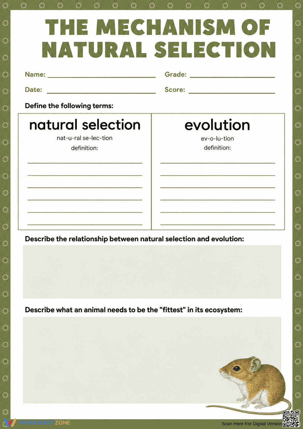 Grade 8 Natural Selection — Printable No-Prep Worksheet - Page 1