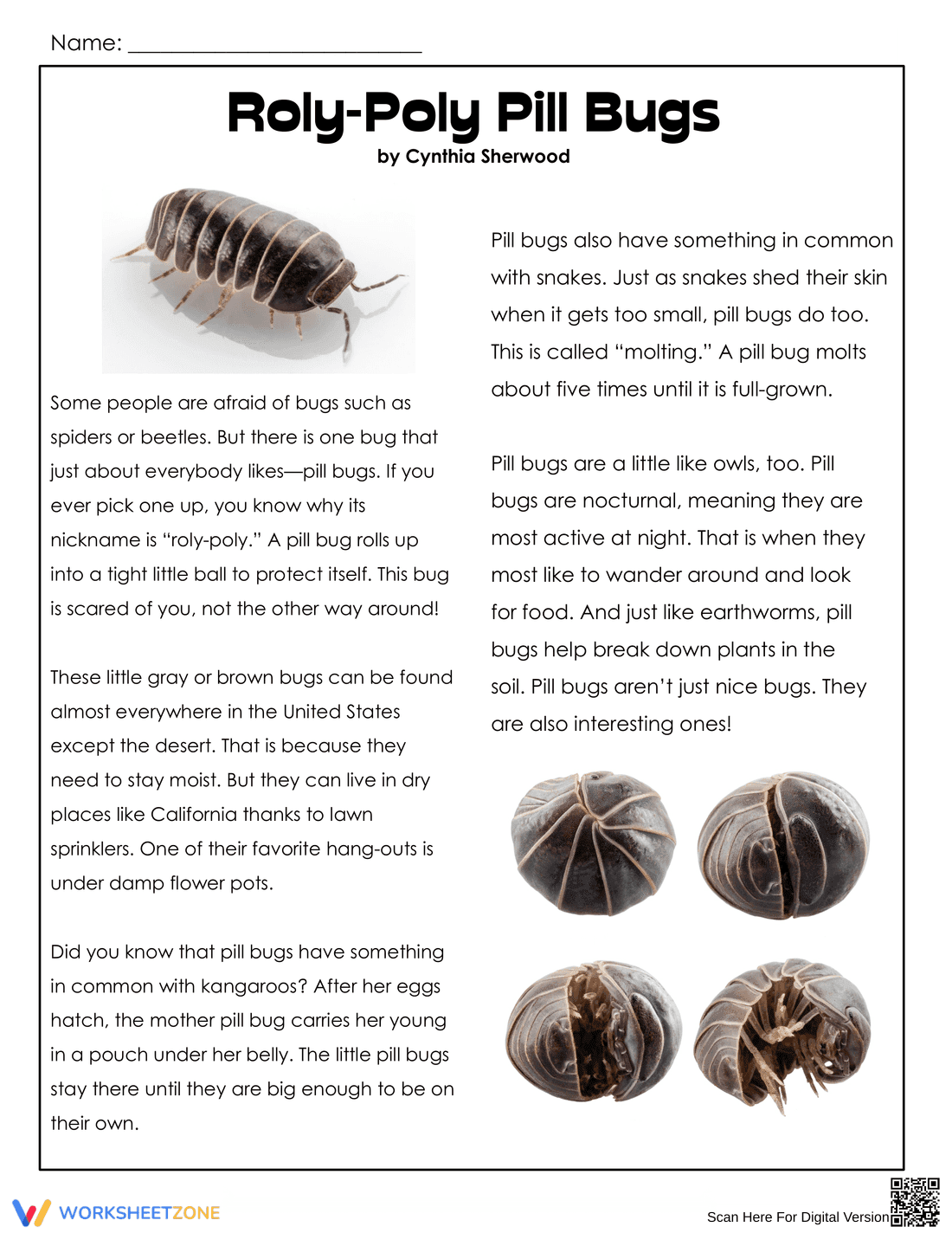 Grade 4 Reading Comprehension — Printable No-Prep Worksheet - Page 1
