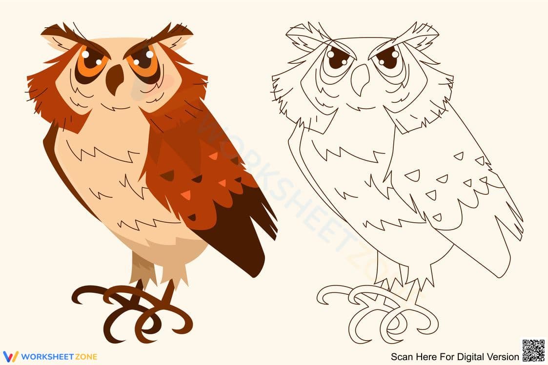 Little Owl Coloring Worksheet | Essential Grade K Ready - Page 1