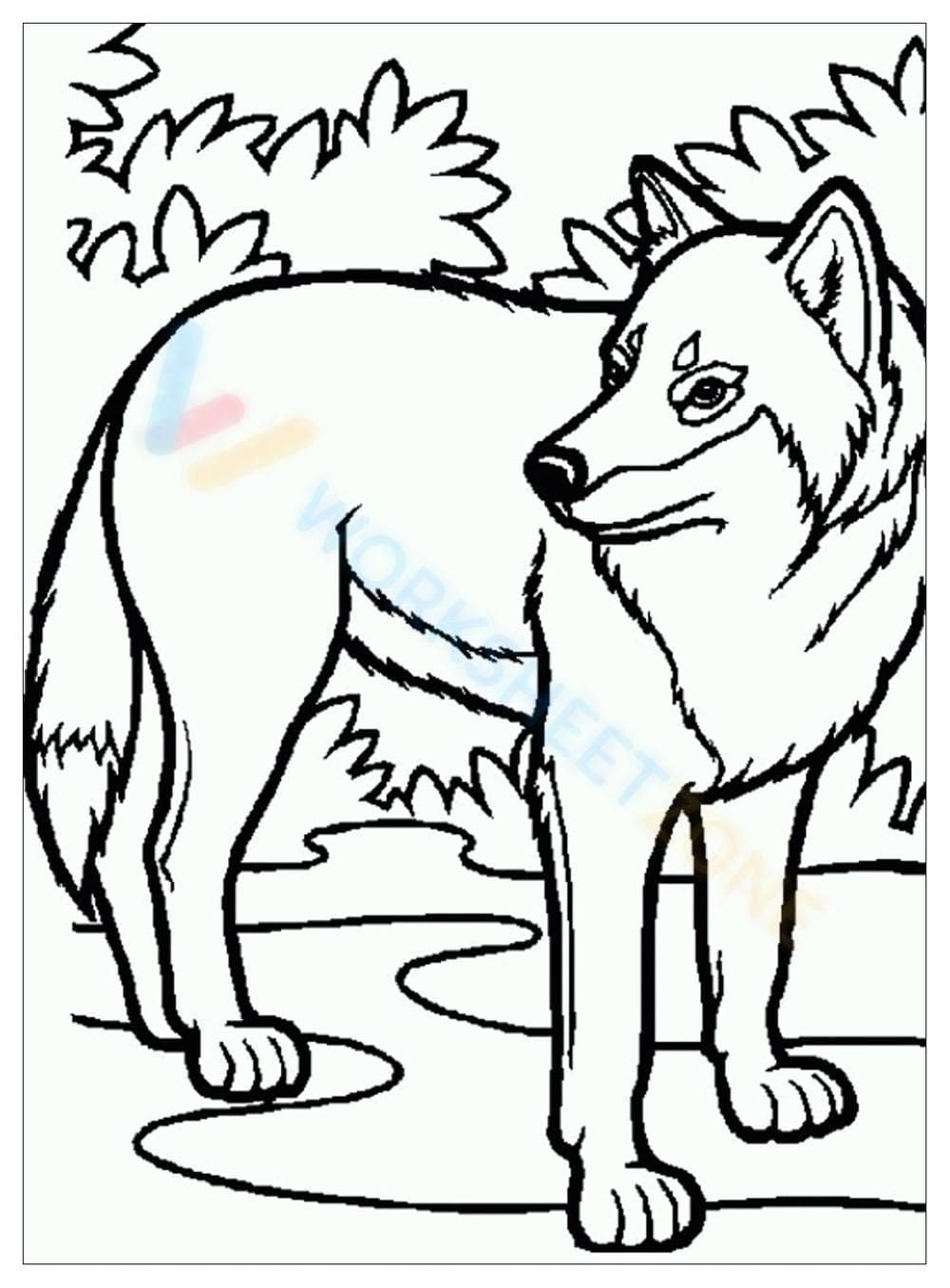 Wolf on the Road: An Animal Adventure - Page 1