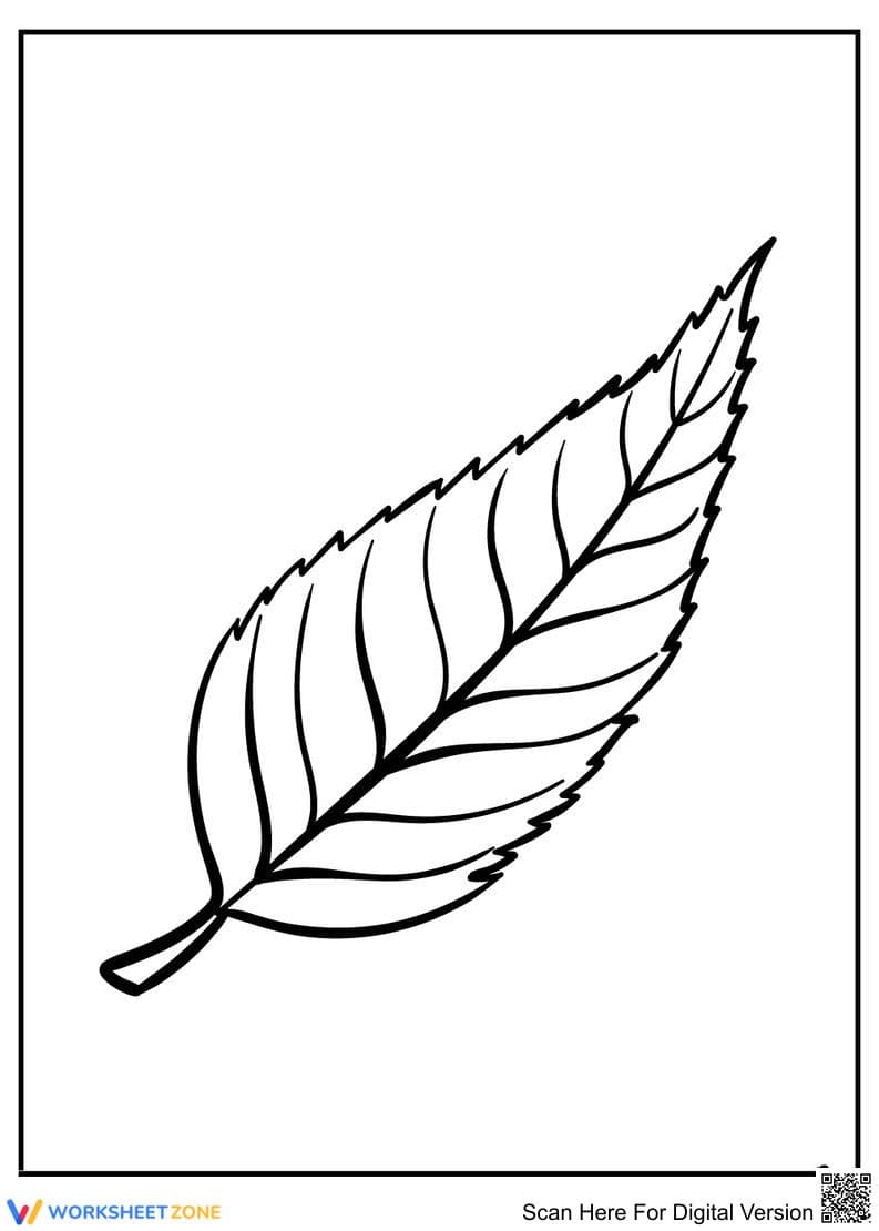 Leaf Coloring Worksheet | Grade K-2 Essential - Page 1