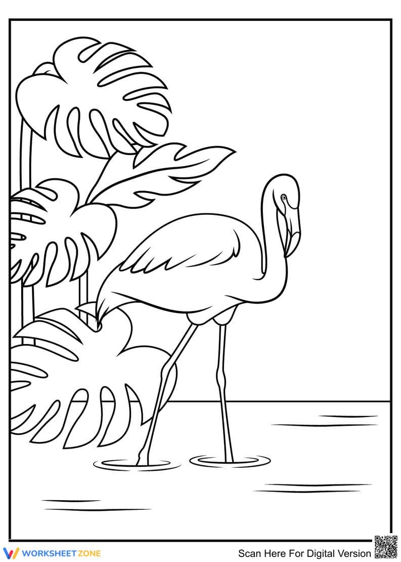 Beautiful Flamingo - Page 1