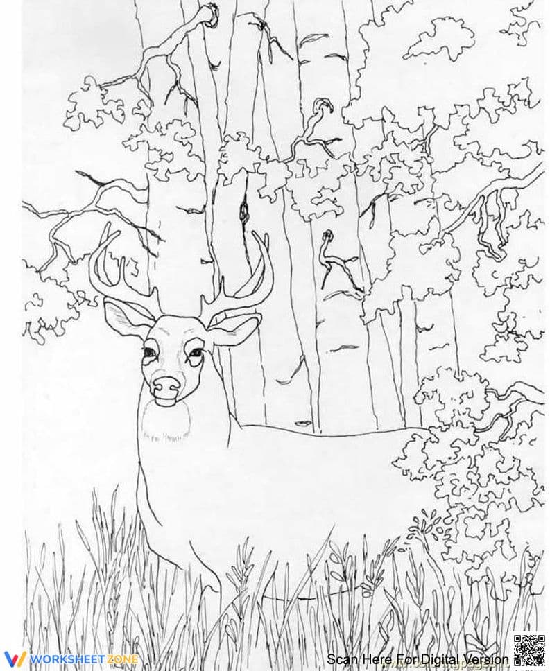 A Deer in the Forest Coloring Page | Essential Printable - Page 1