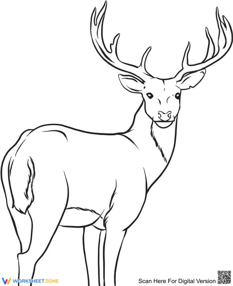 Deer Coloring Page | Essential Grade K-5 Printable - Page 1