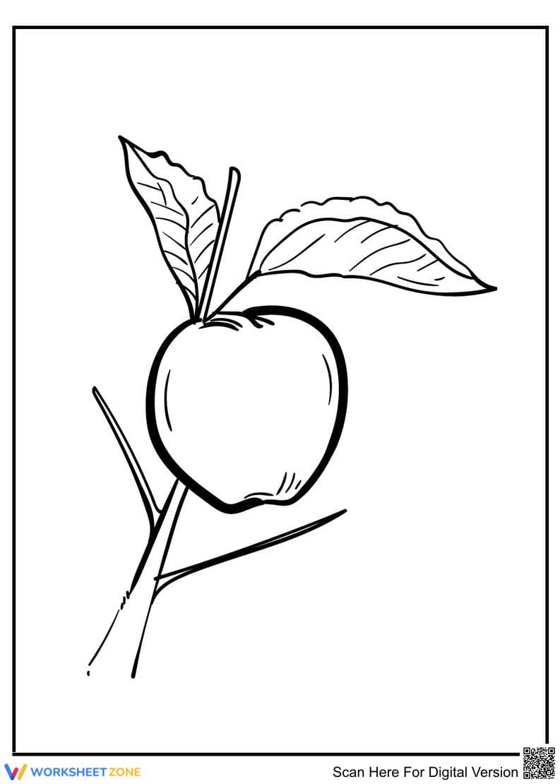 Apple Coloring Page | Essential Kindergarten Printable - Page 1