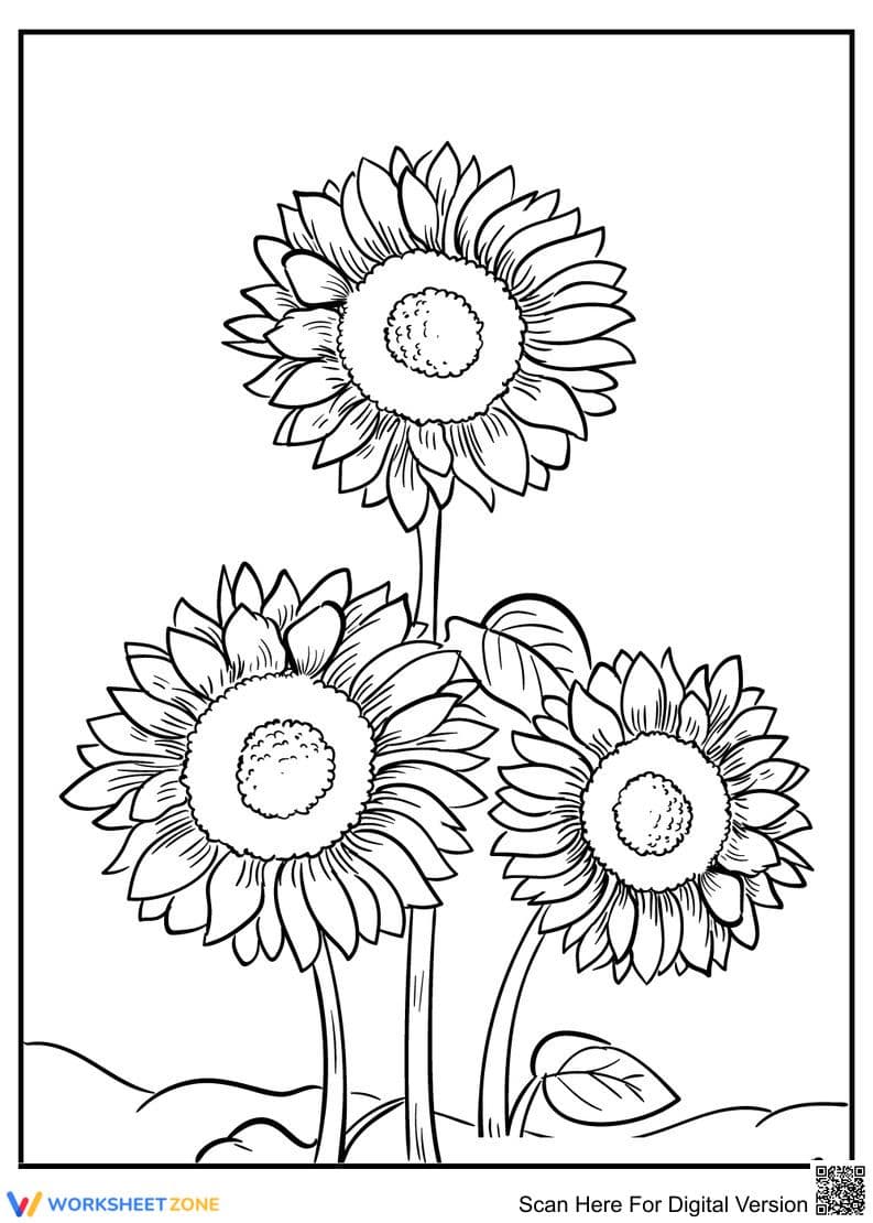 Sunflower Coloring Page | Essential Grade K-5 Printable - Page 1