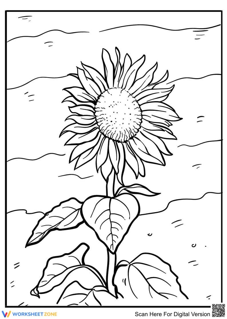 Sunflower Coloring Page | Essential Grade K-5 Art - Page 1