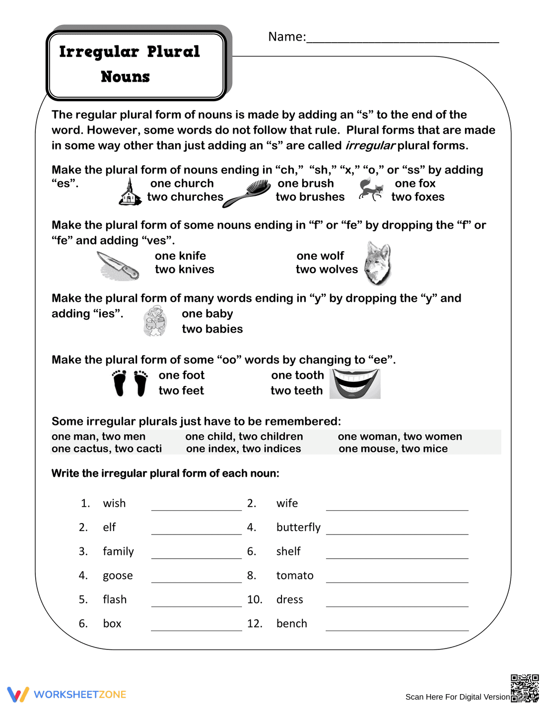 Irregular Plural Nouns Worksheet: Learn Singular and Plural Forms - Page 1