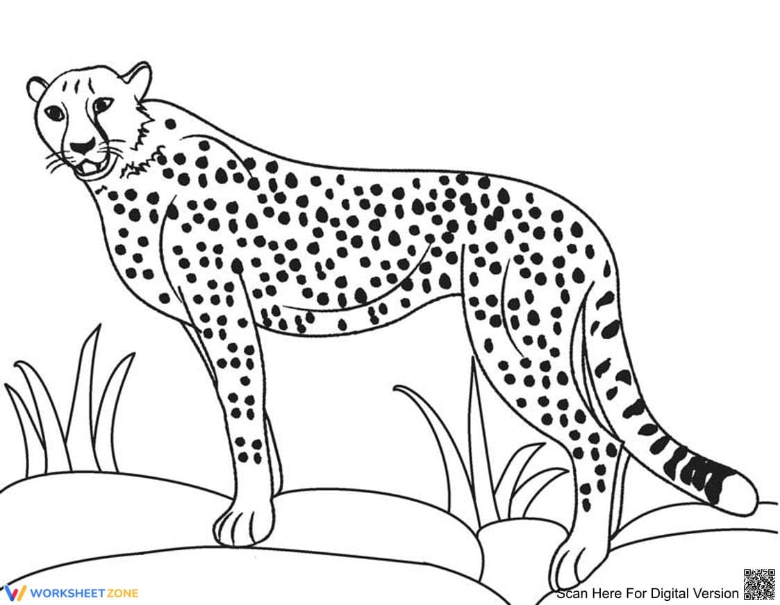 Cool Cheetah Worksheet - Page 1