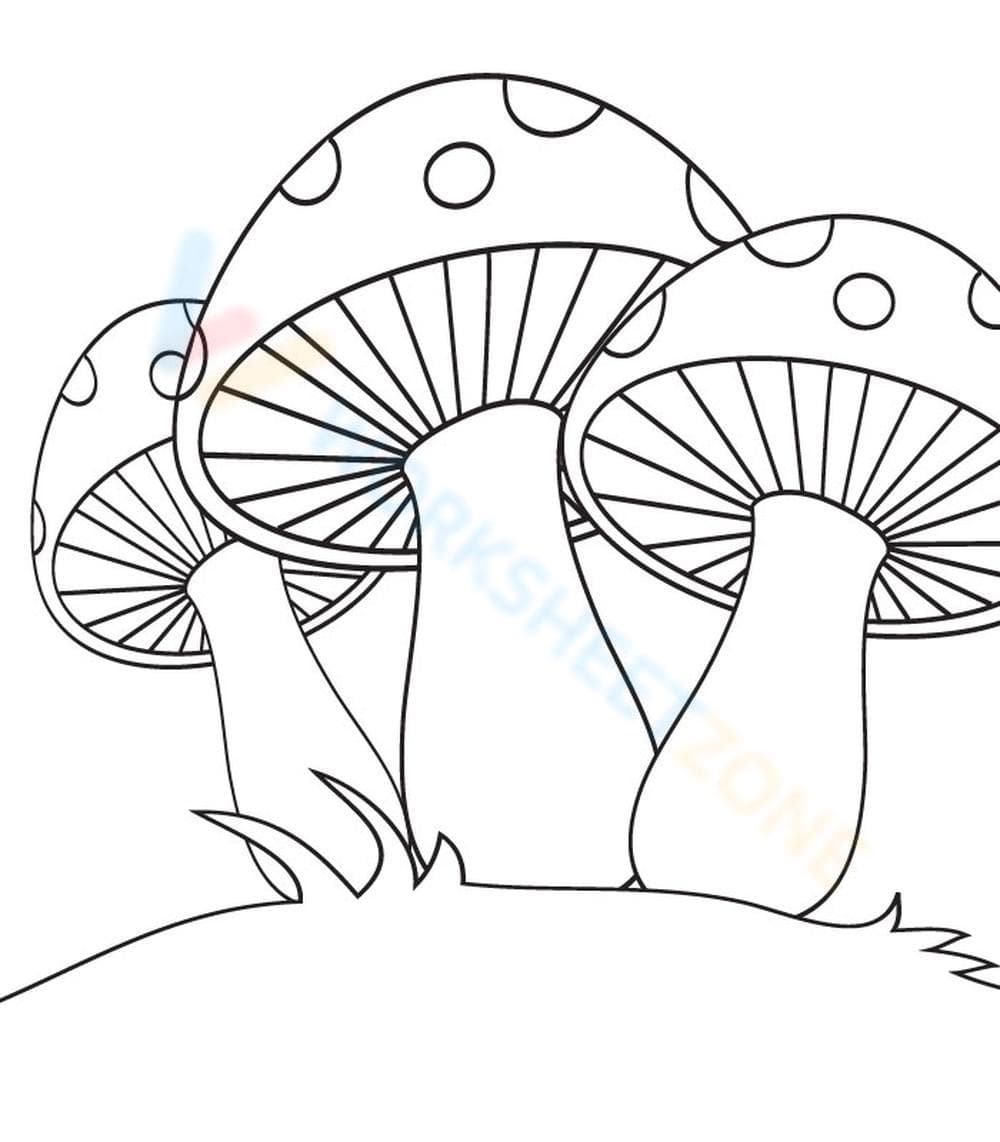 Beautiful Mushrooms - Page 1