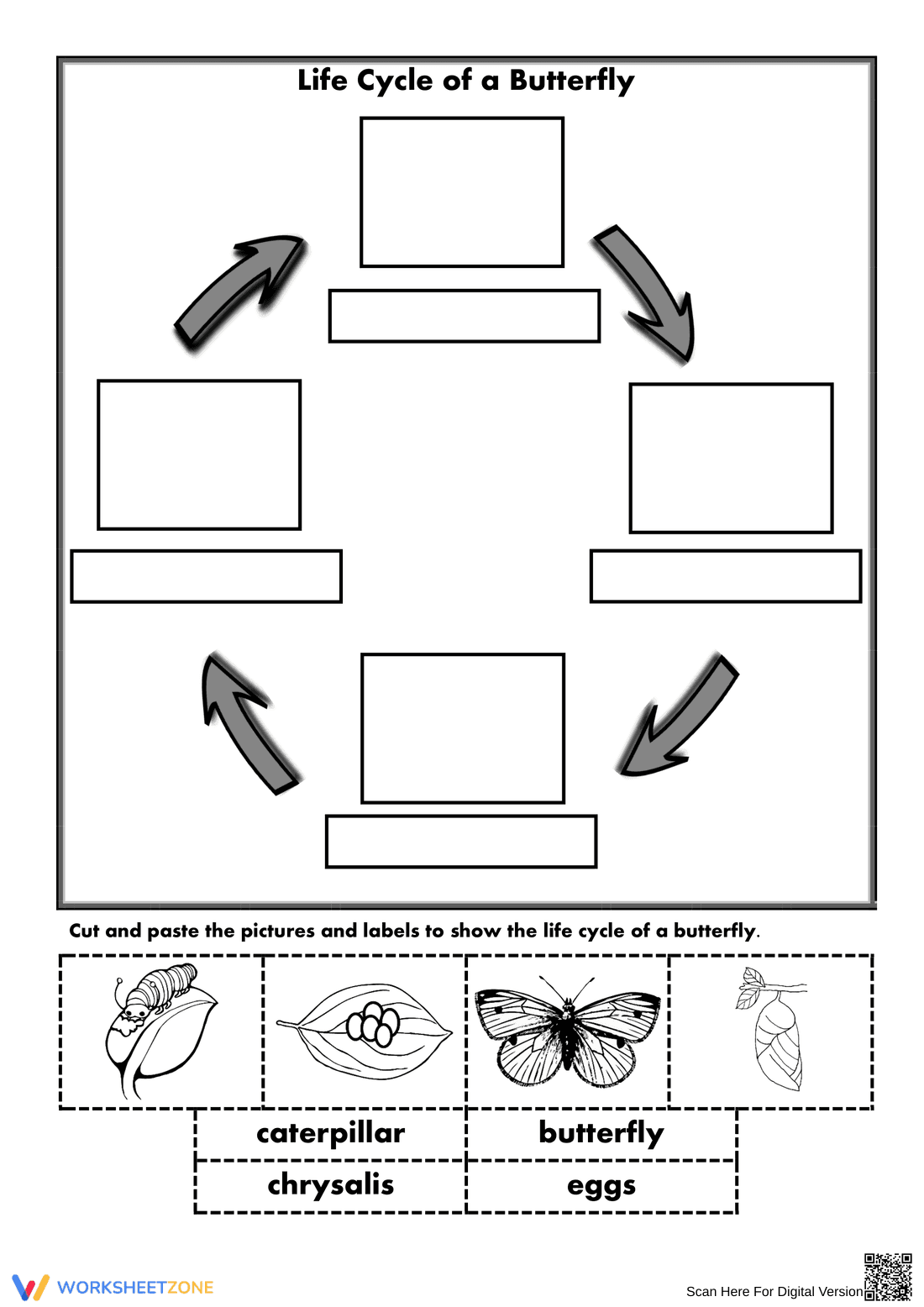 Butterfly Life Cycle Worksheet | Grade 3 Printable - Page 1