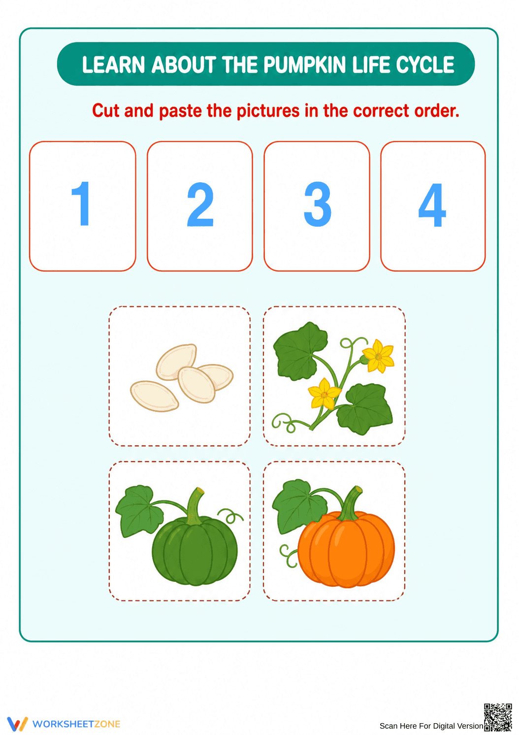 Essential Pumpkin Life Cycle Worksheet | Grade 3 Ready - Page 1