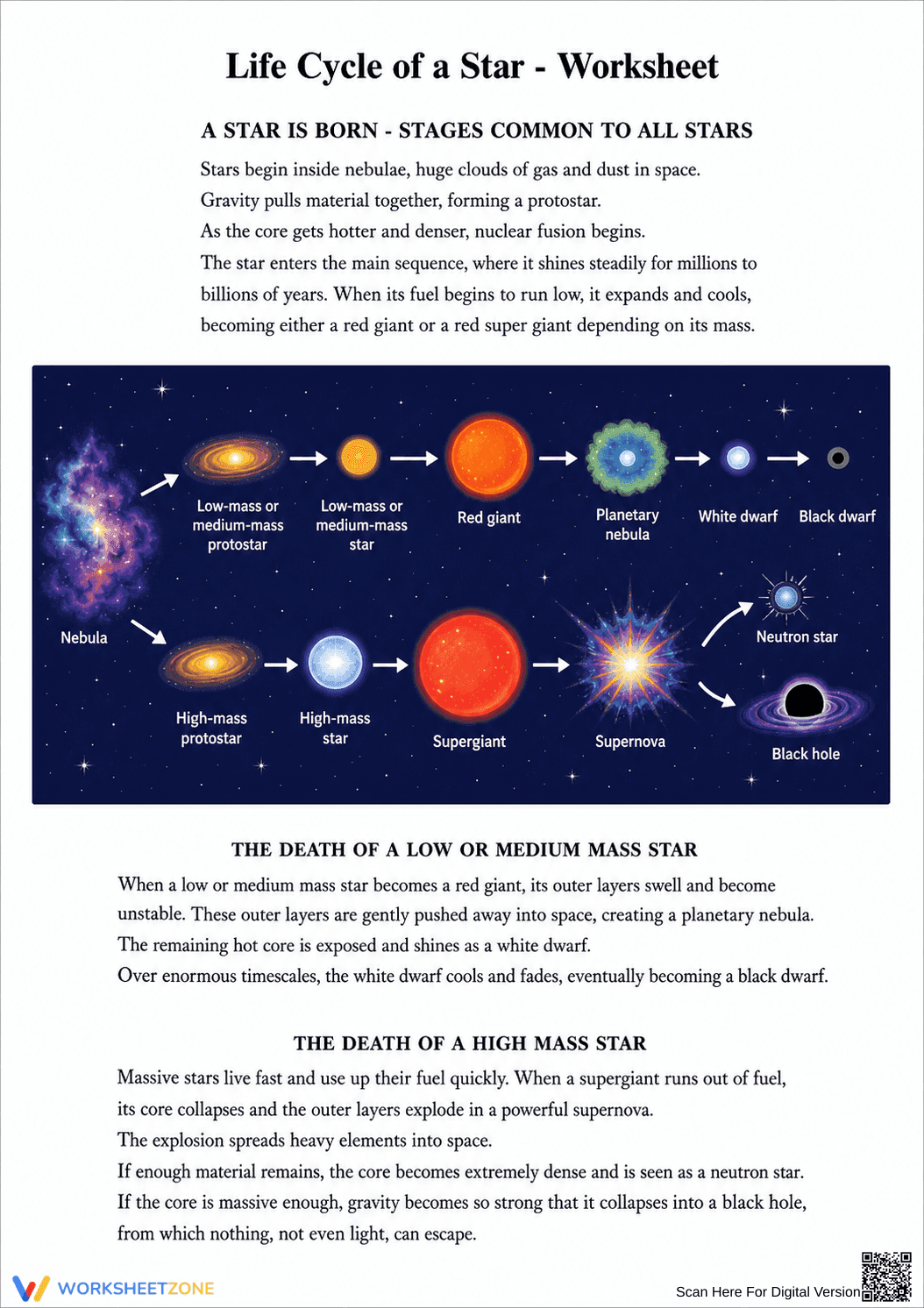 Essential Life Cycle of a Star Worksheet | Grade 8 Science - Page 1