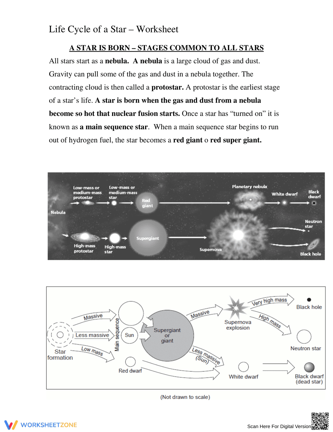 Detailed Life Cycle of a Star Worksheet - Page 1