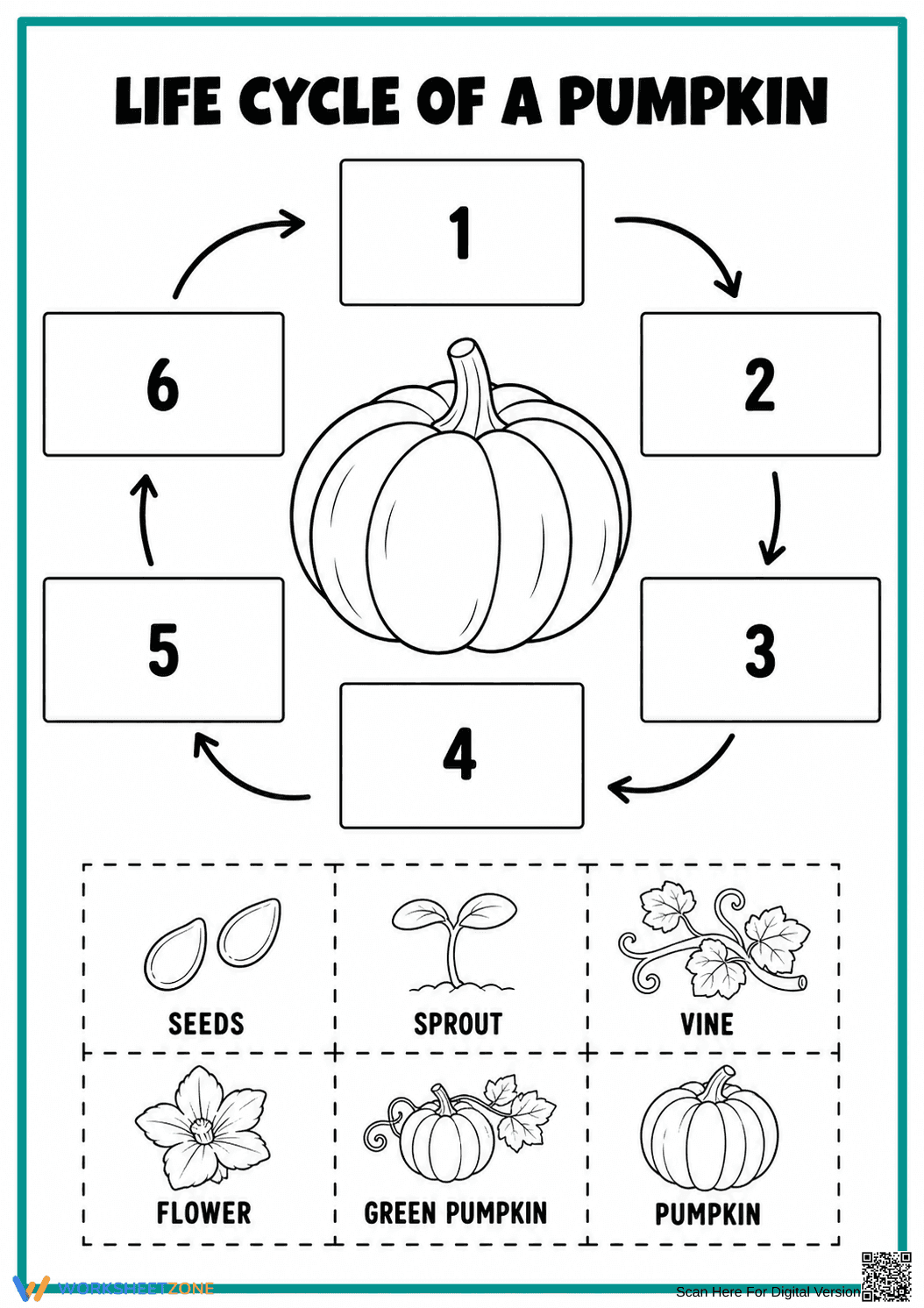 Life Cycle of a Pumpkin – Science and Halloween Worksheet - Page 1