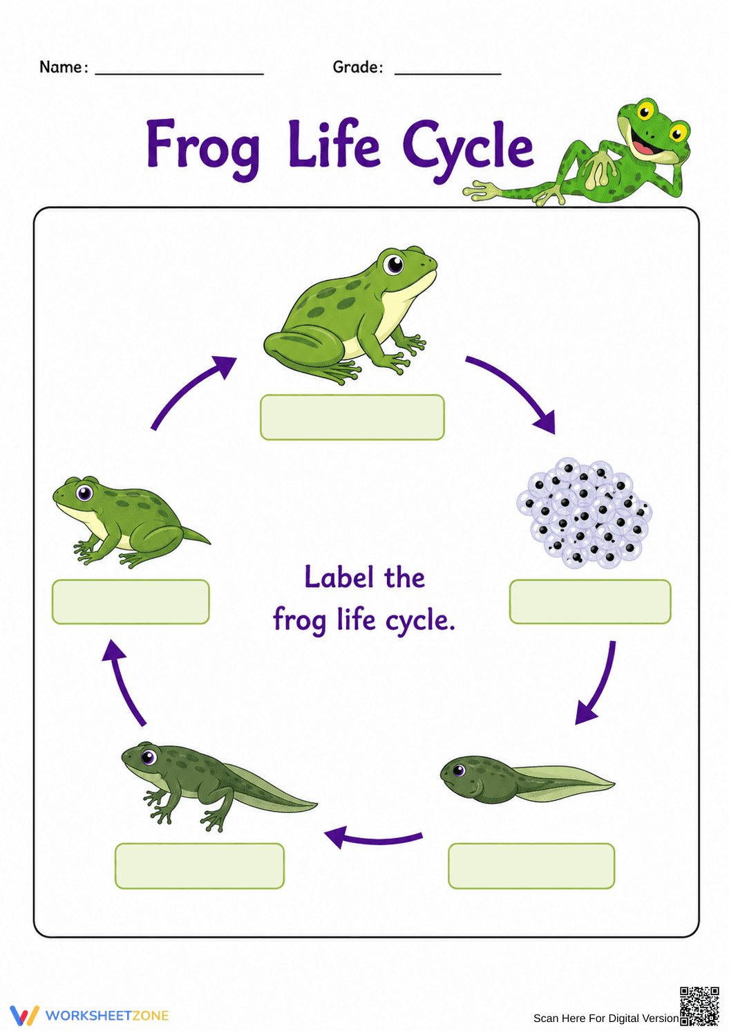 Printable Frog Life Cycle Worksheet | Grade 4-5 Science - Page 1