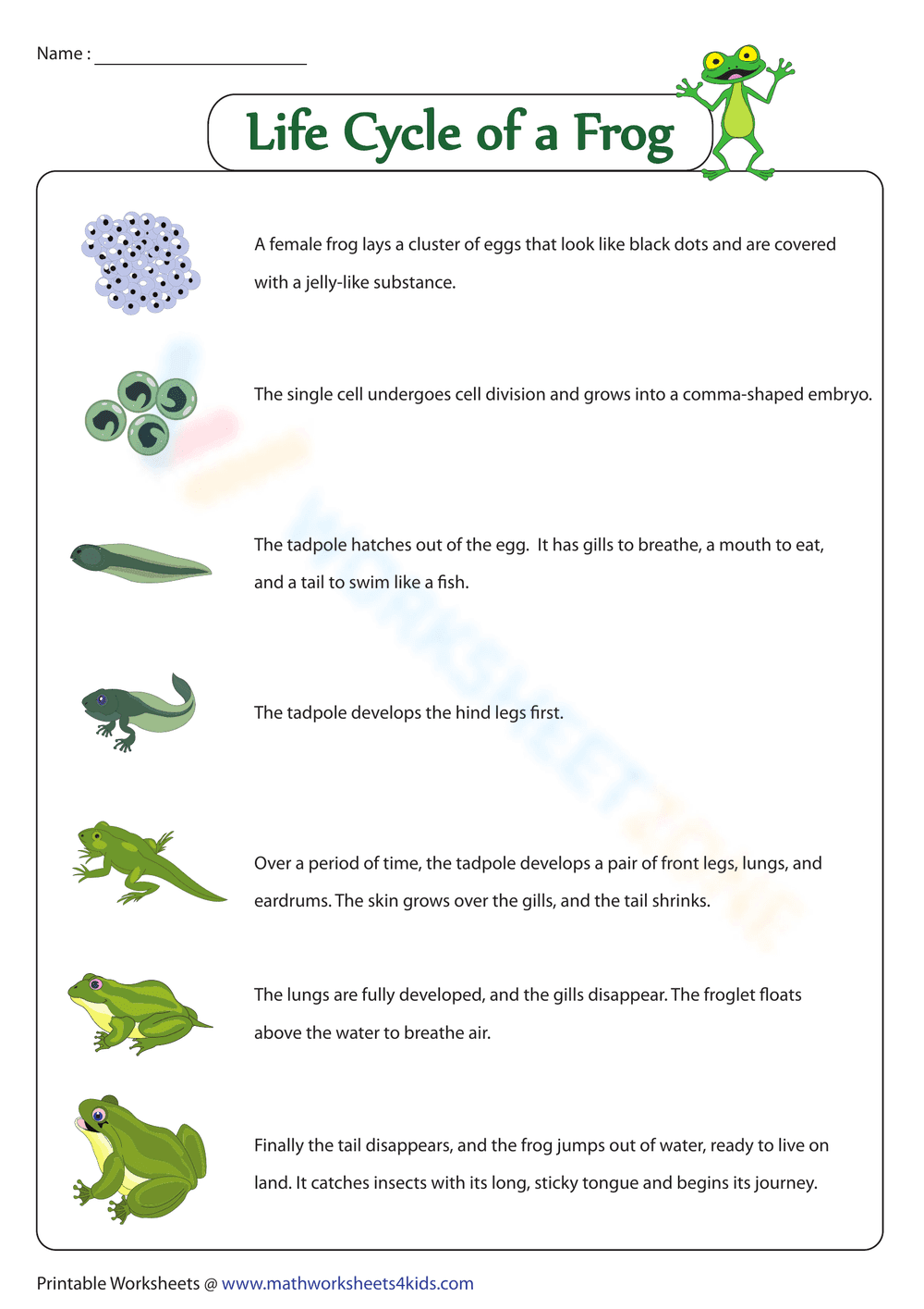 Life cycle of a frog 2 - Page 1
