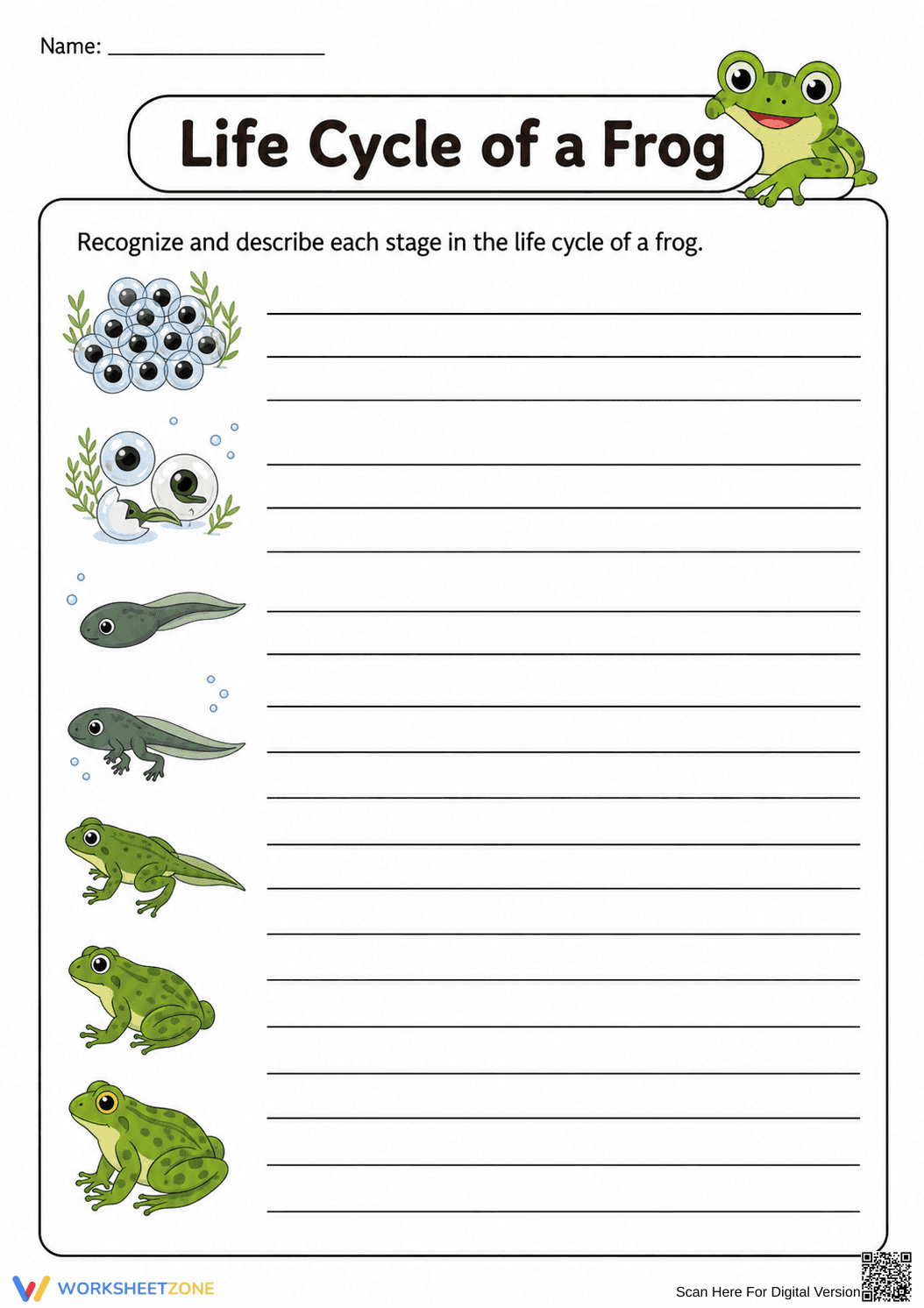 Frog Life Cycle Worksheet | Grade 3 Essential Science - Page 1