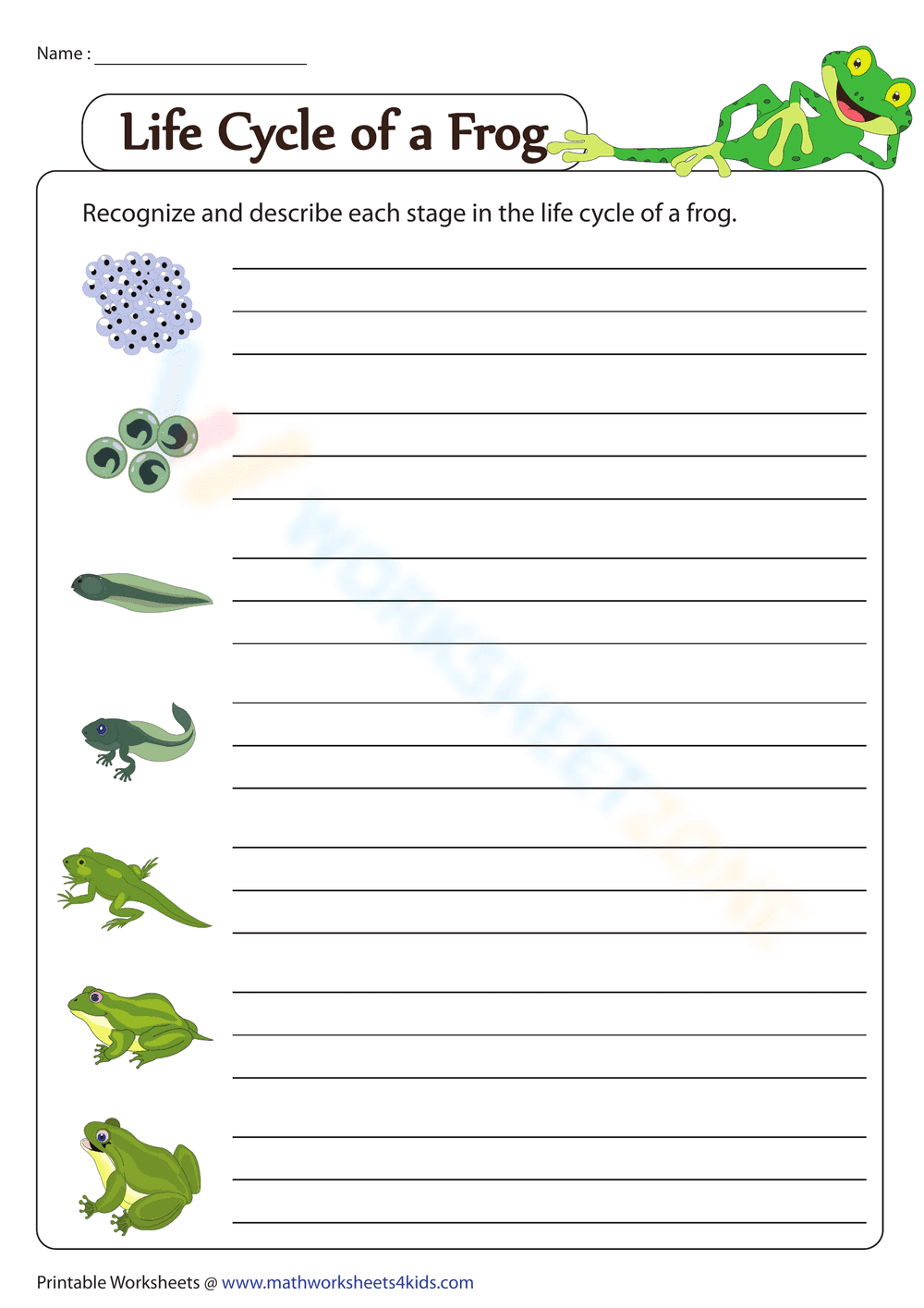 Study the Life Cycle of a Frog with This Worksheet - Page 1