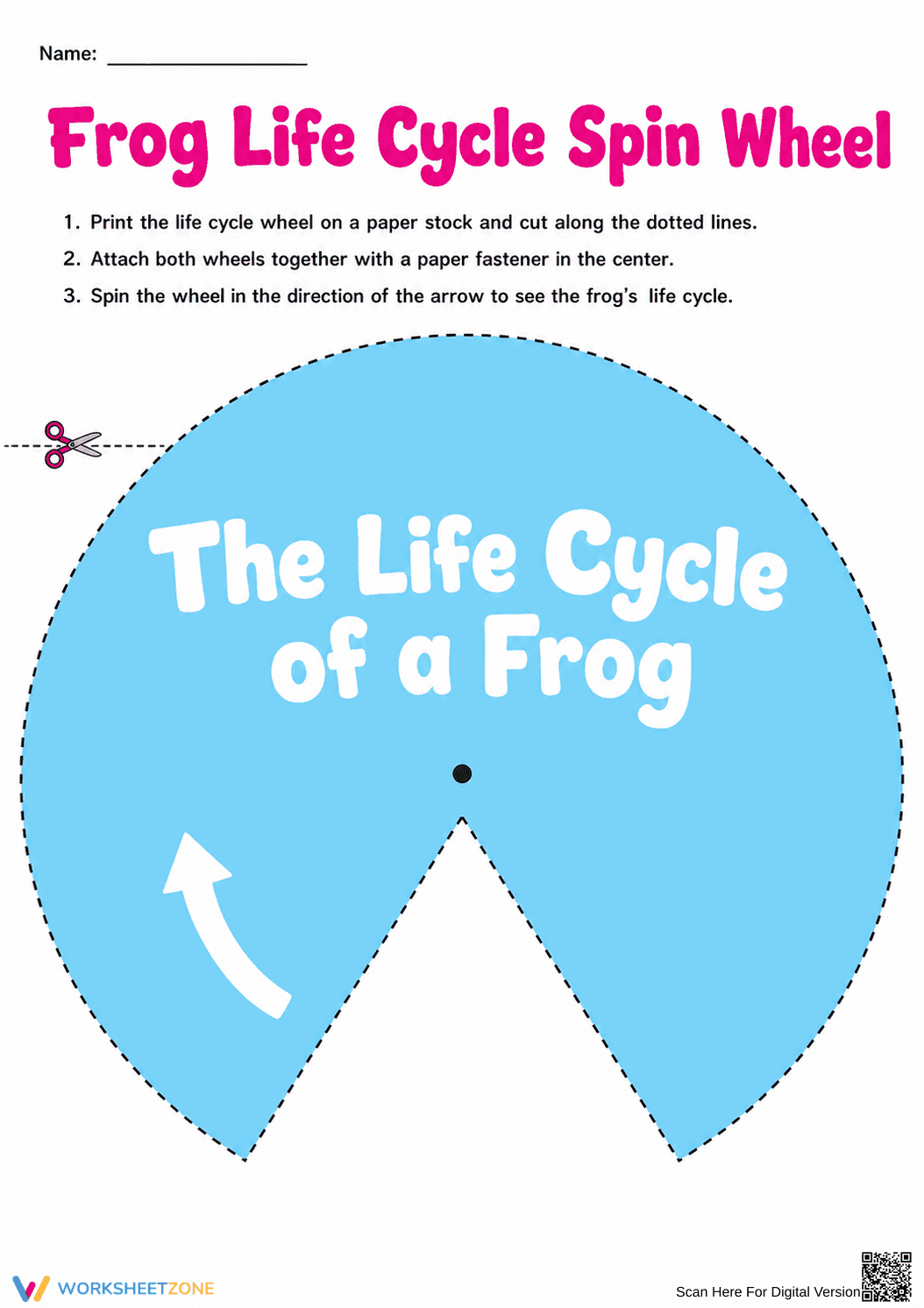Printable Frog Life Cycle Spin Wheel | Grade 3 - Page 1