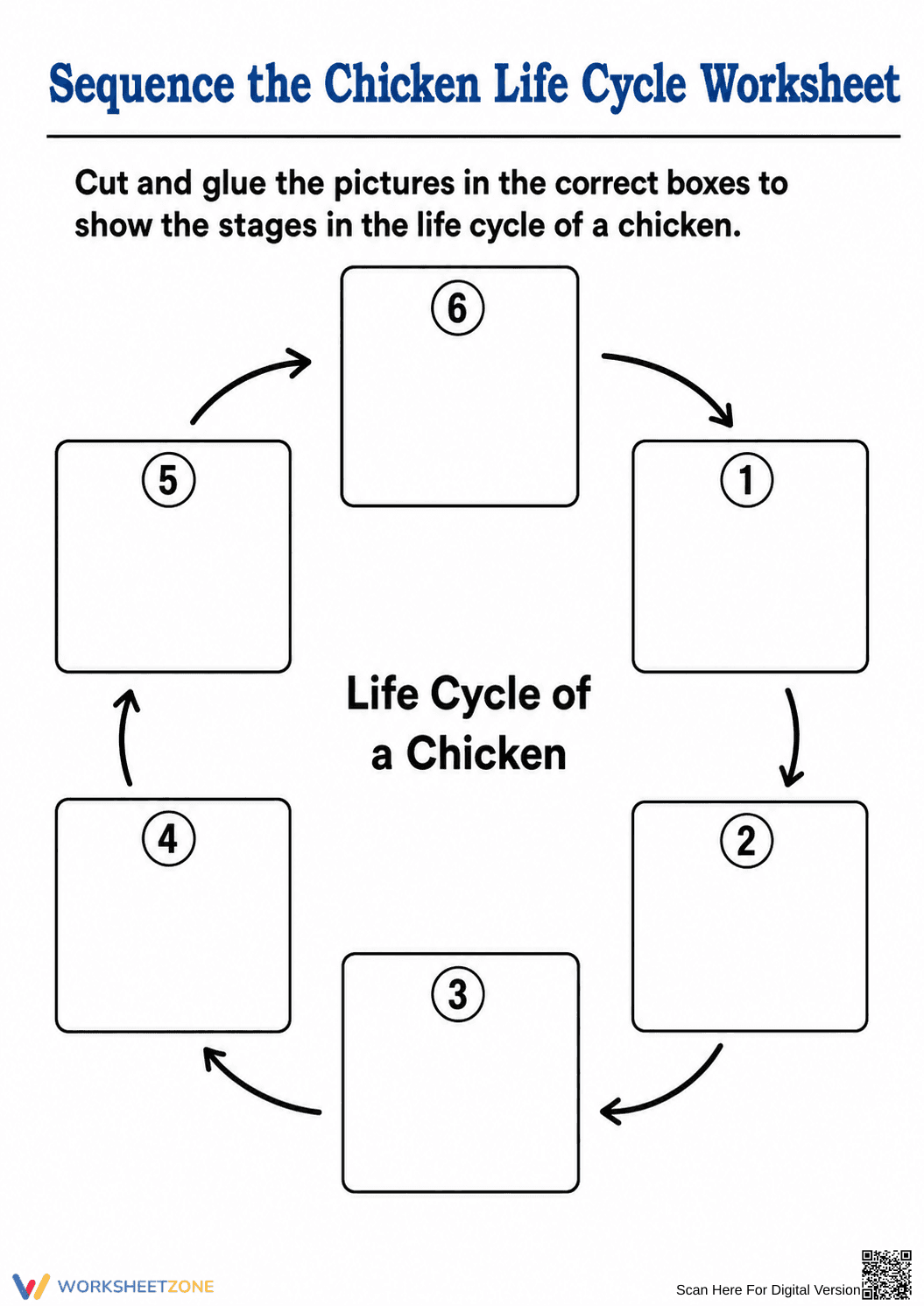 Chicken Life Cycle Worksheet | Grade 3 Essential - Page 1