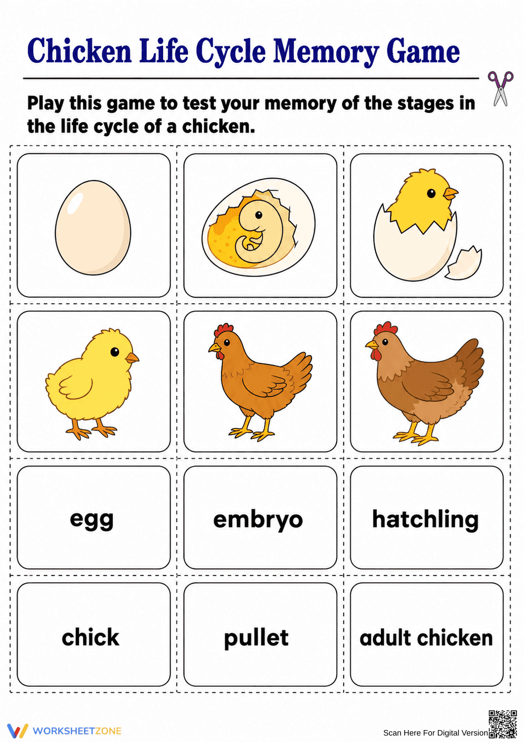 Grade 3 Chicken Life Cycle — Printable Memory Game - Page 1