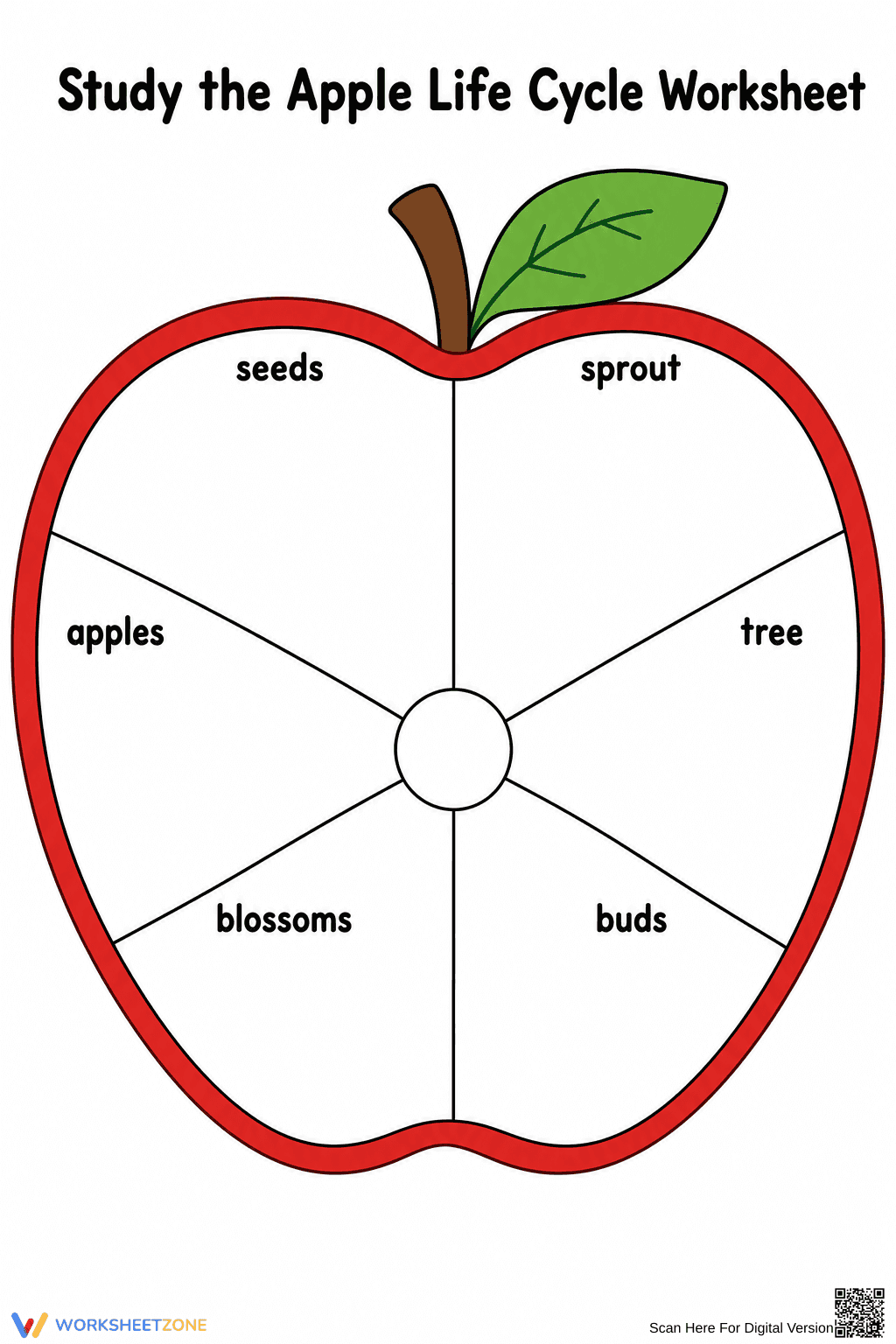 Printable Apple Life Cycle Worksheet | Grade 2-5 Science - Page 1