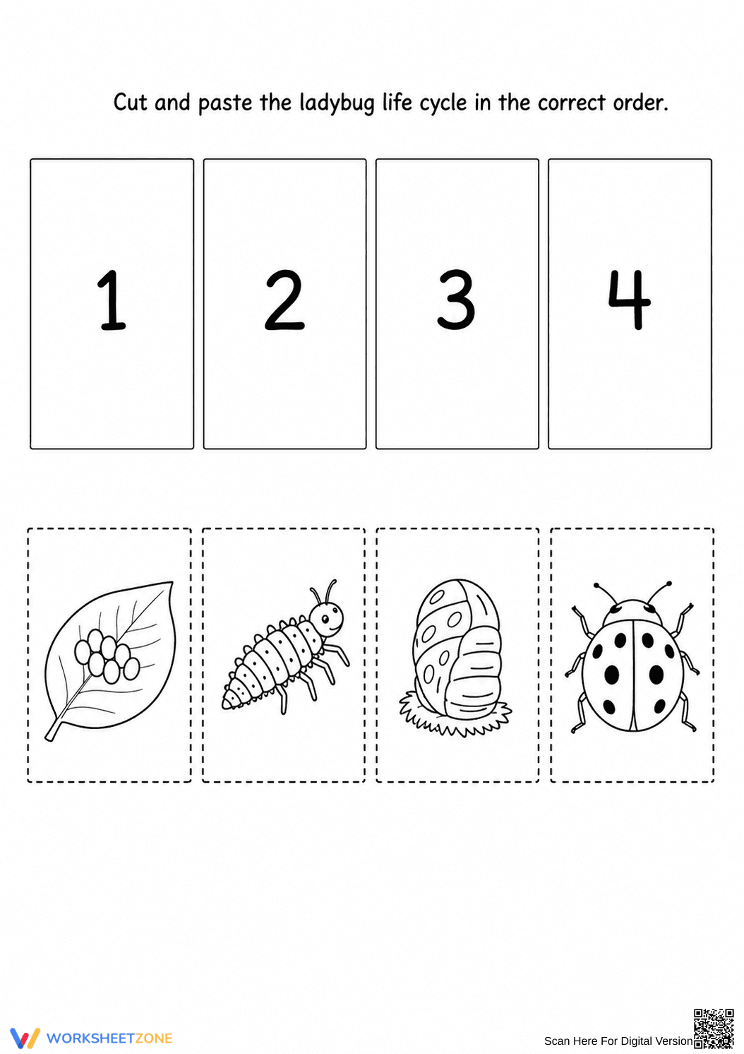 Grade 3 Ladybug Life Cycle — Printable No-Prep Worksheet - Page 1