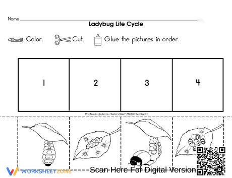 Study the Ladybug Life Cycle Worksheet - Page 1