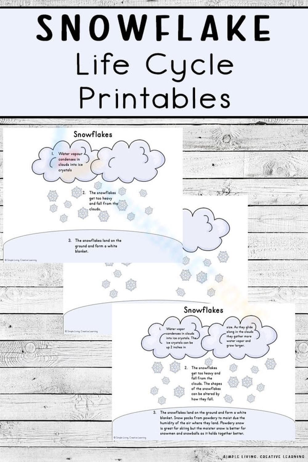 Discover the Snowflake Life Cycle with Printables - Page 1