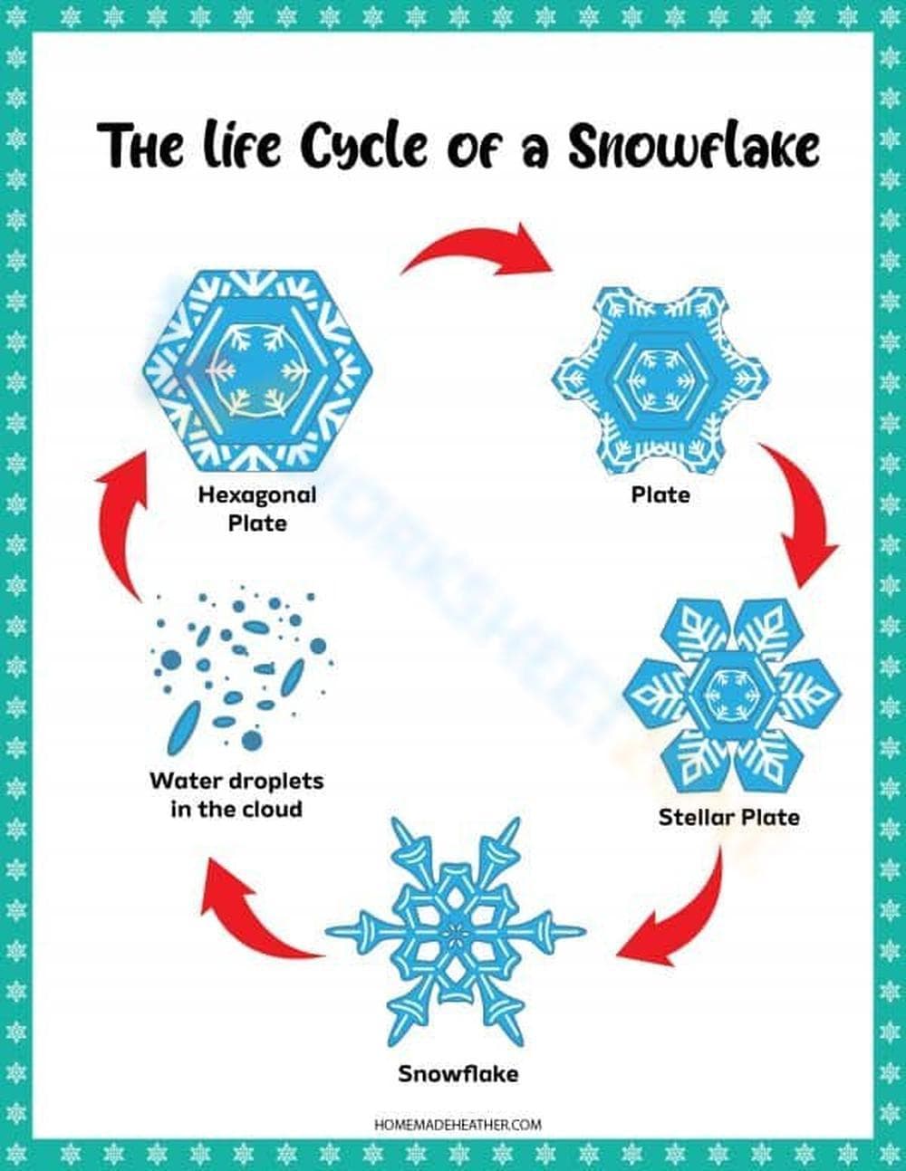 Explore the Snowflake Life Cycle - Page 1