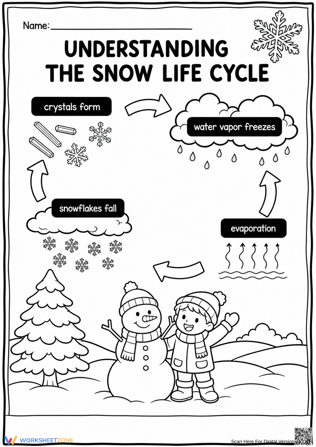 Printable Snow Life Cycle Worksheet | Grade 2 Science - Page 1
