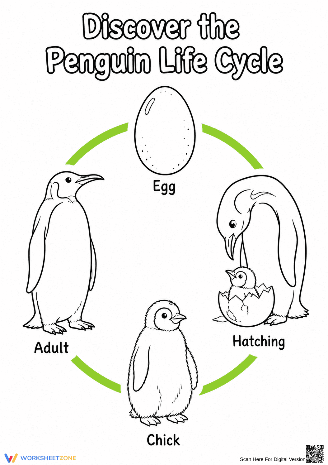 Printable Penguin Life Cycle Worksheet | Grade 3 Science - Page 1