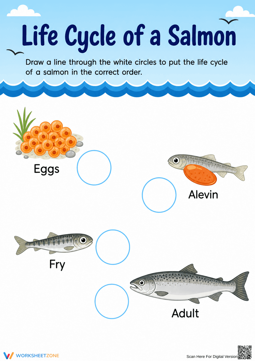 Grade 3 Salmon Life Cycle — Printable No-Prep Worksheet - Page 1