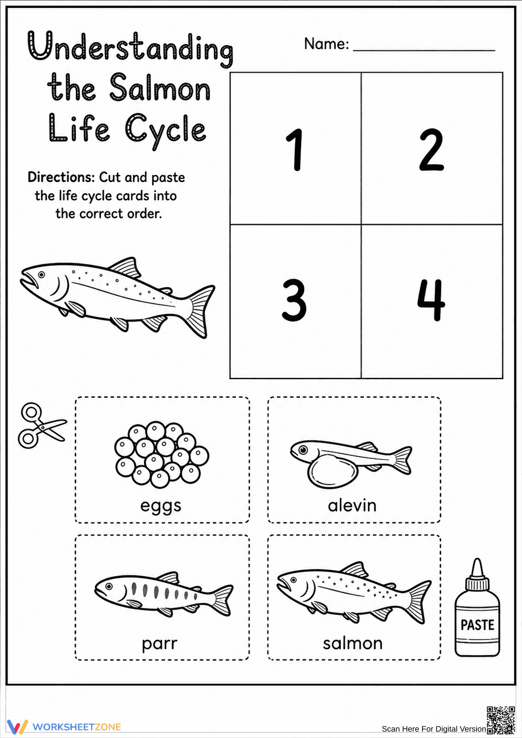 Salmon Life Cycle Worksheet | Grade 3 Essential - Page 1