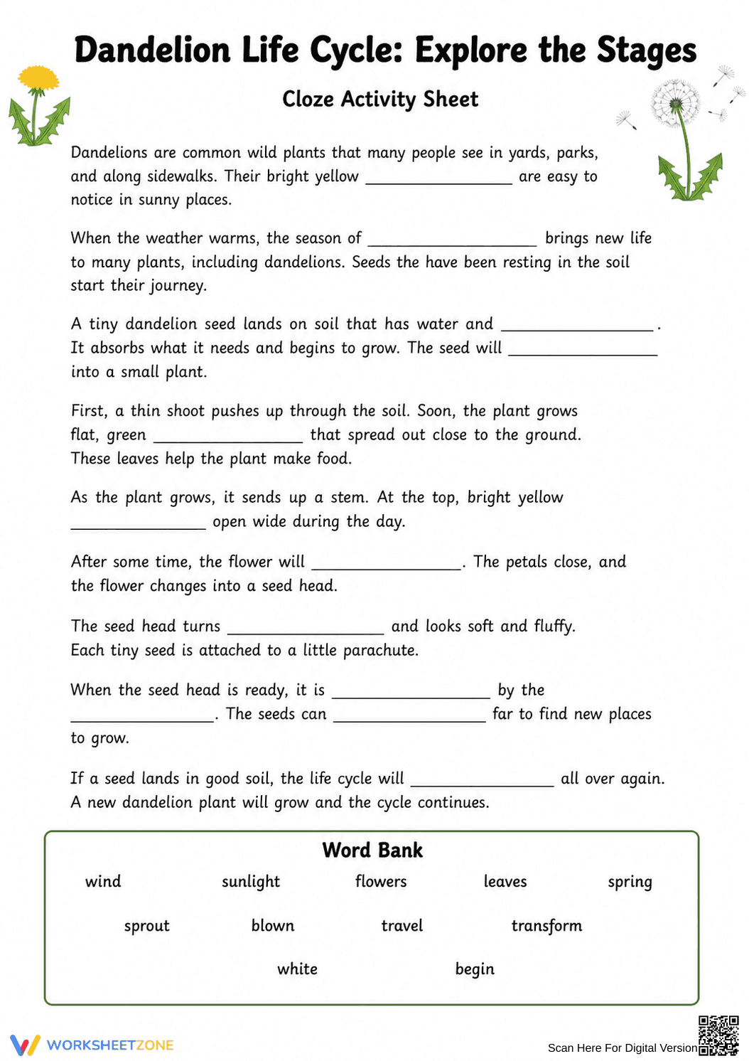 Grade 3 Dandelion Life Cycle — Printable No-Prep Worksheet - Page 1