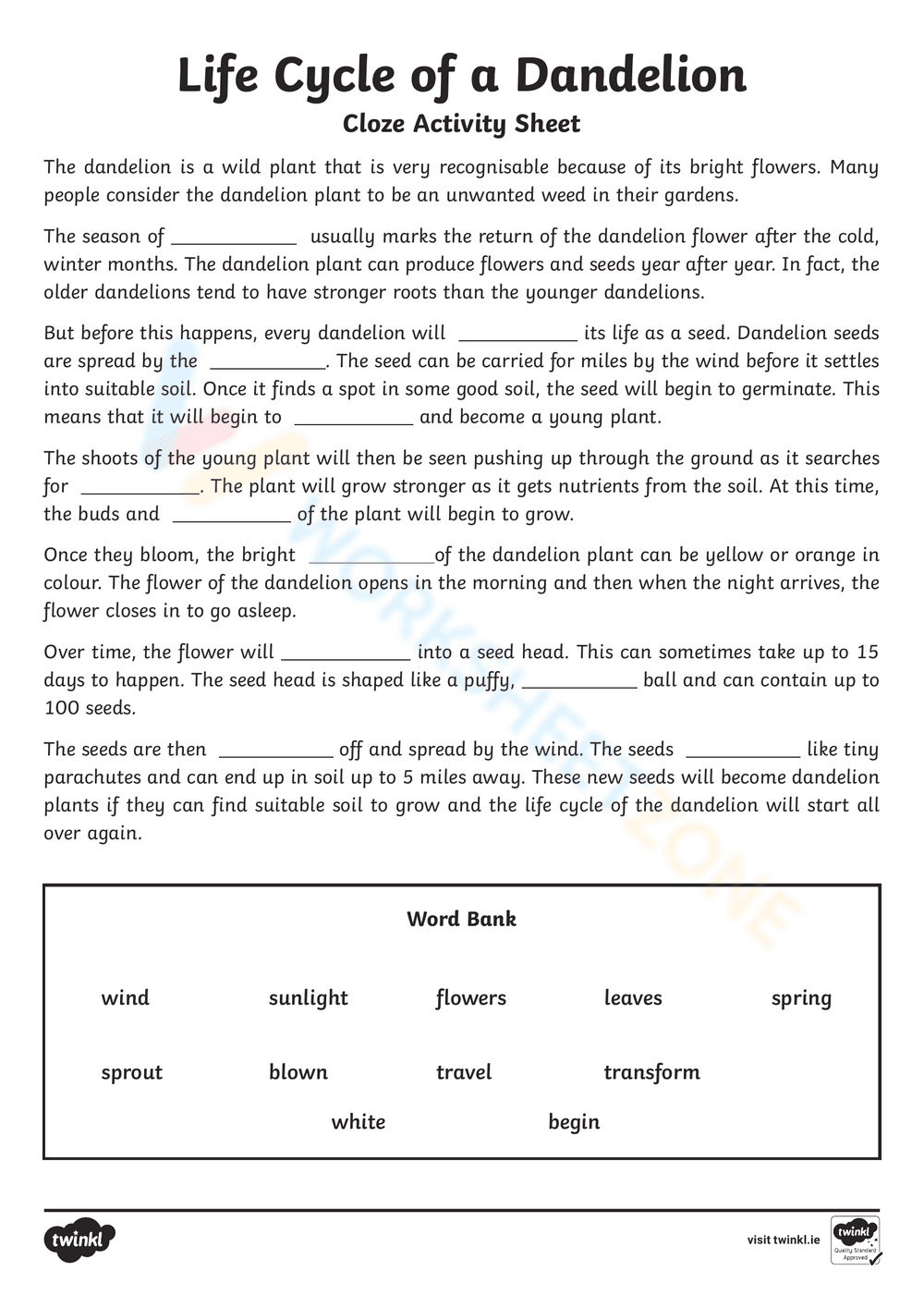 Dandelion Life Cycle: Explore the Stages - Page 1