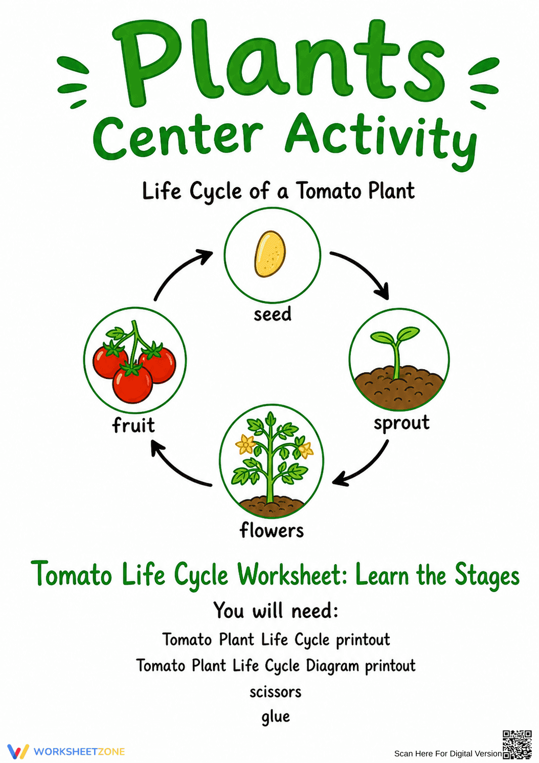 Tomato Life Cycle Worksheet | Grade 3 Essential Science - Page 1