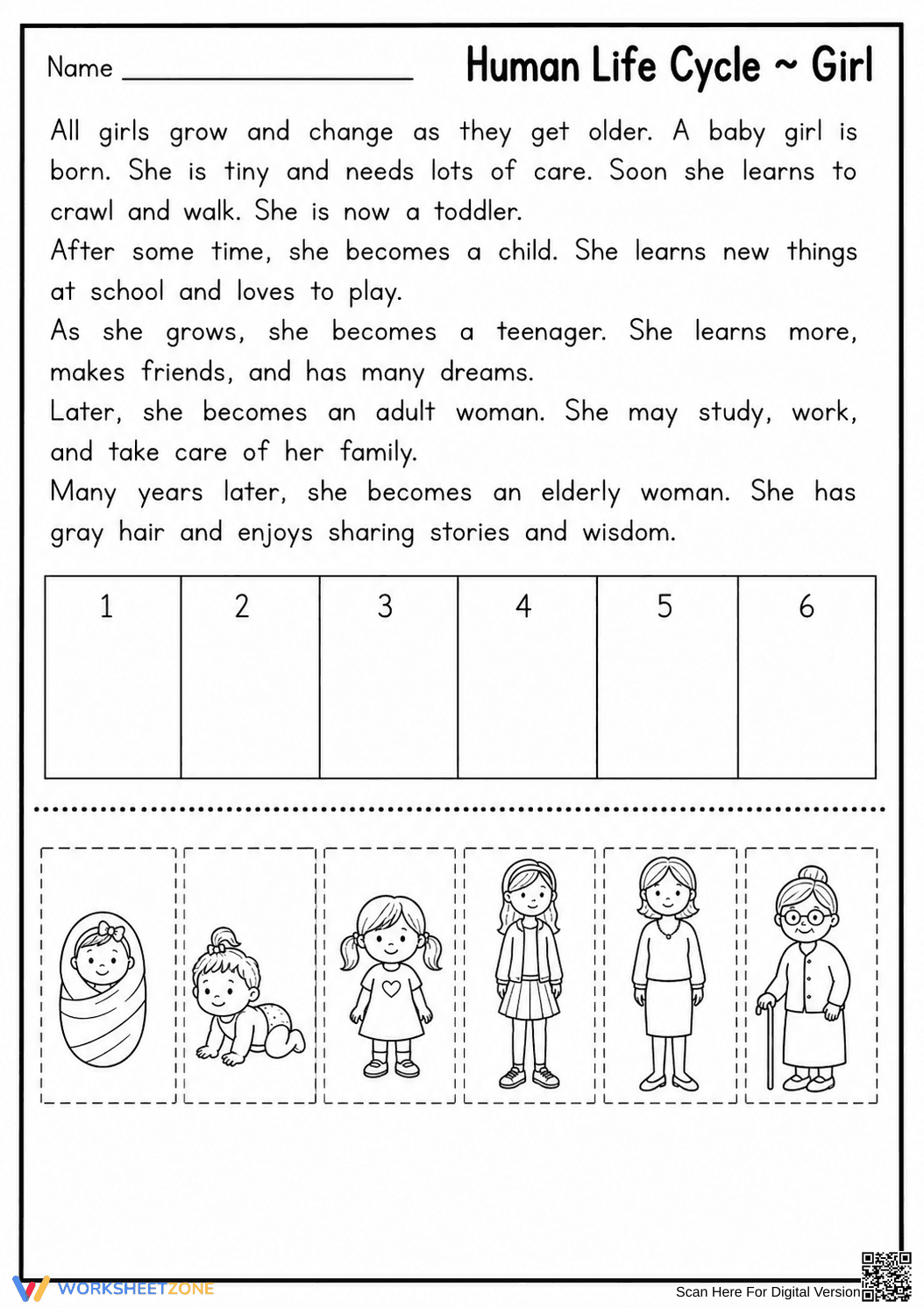 Grade 2 Human Life Cycle — Printable No-Prep Worksheet - Page 1