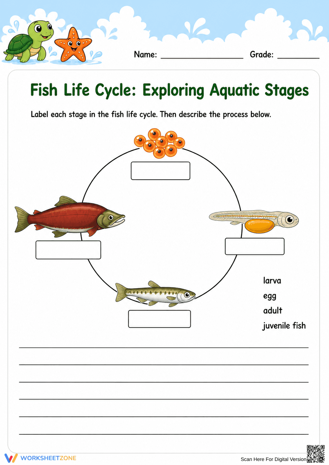 Fish Life Cycle Worksheet | Grade 3 Essential - Page 1