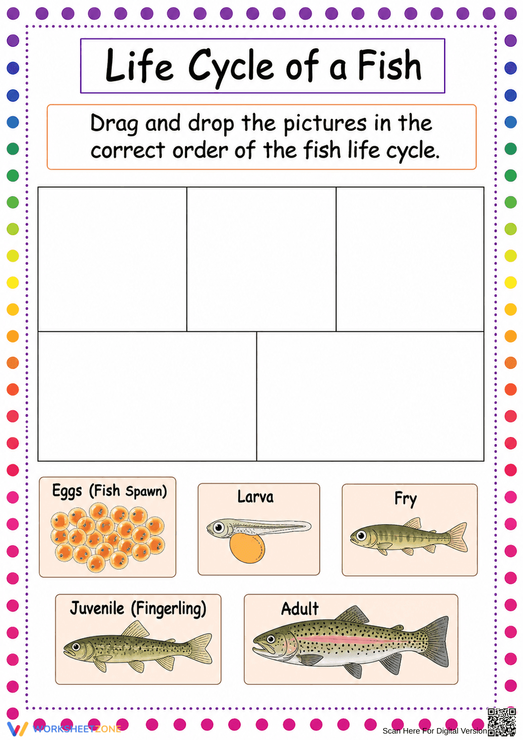 Grade 3 Fish Life Cycle — Printable No-Prep Worksheet - Page 1
