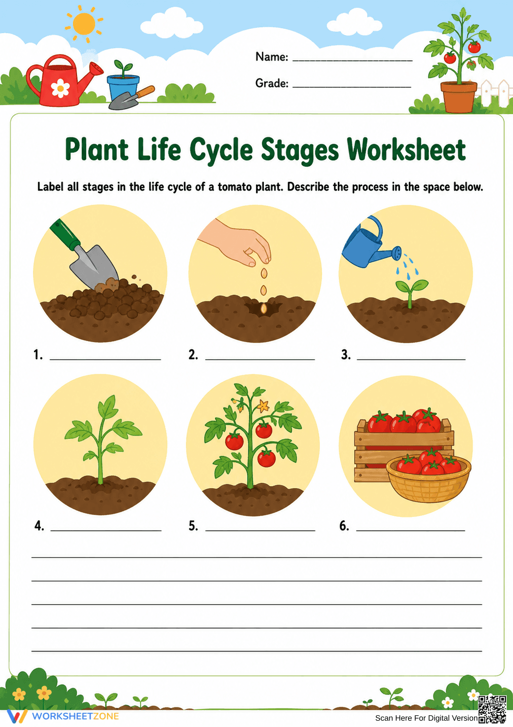 Printable Plant Life Cycle Worksheet | Grade 2 Science - Page 1