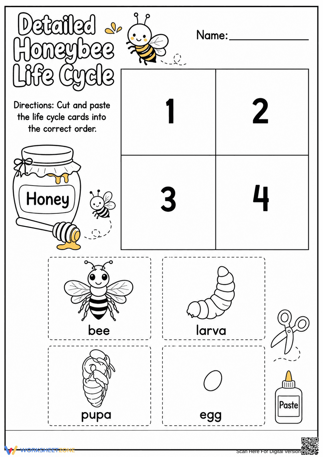 Grade 3 Honeybee Life Cycle — Printable No-Prep Worksheet - Page 1
