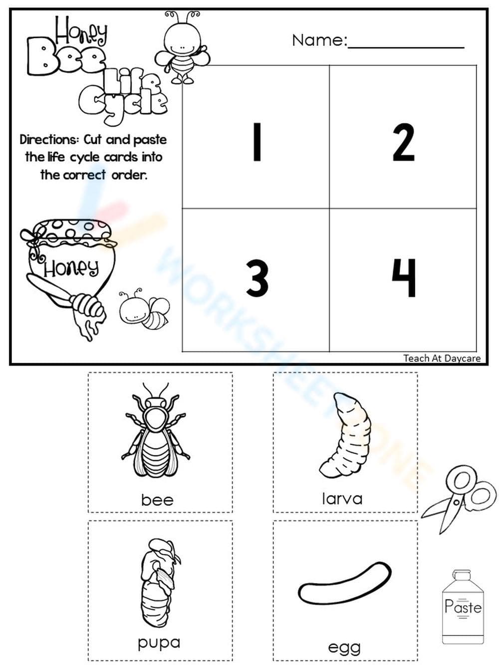 Detailed Honeybee Life Cycle Worksheet - Page 1