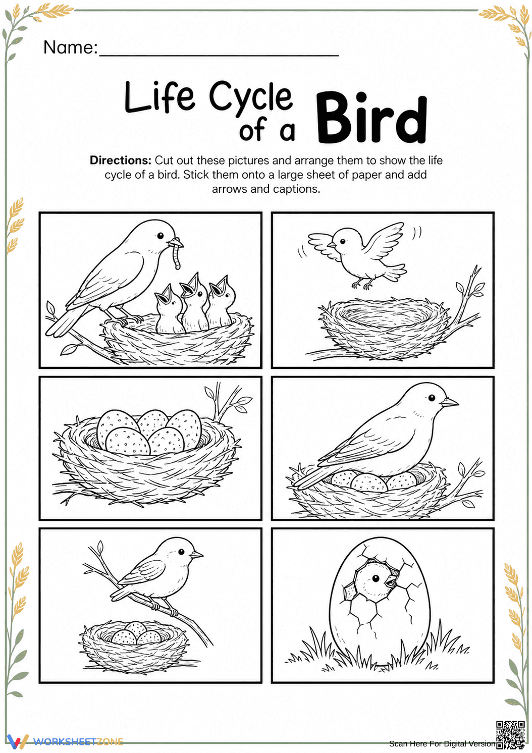 Grade 3 Bird Life Cycle — Printable No-Prep Worksheet - Page 1