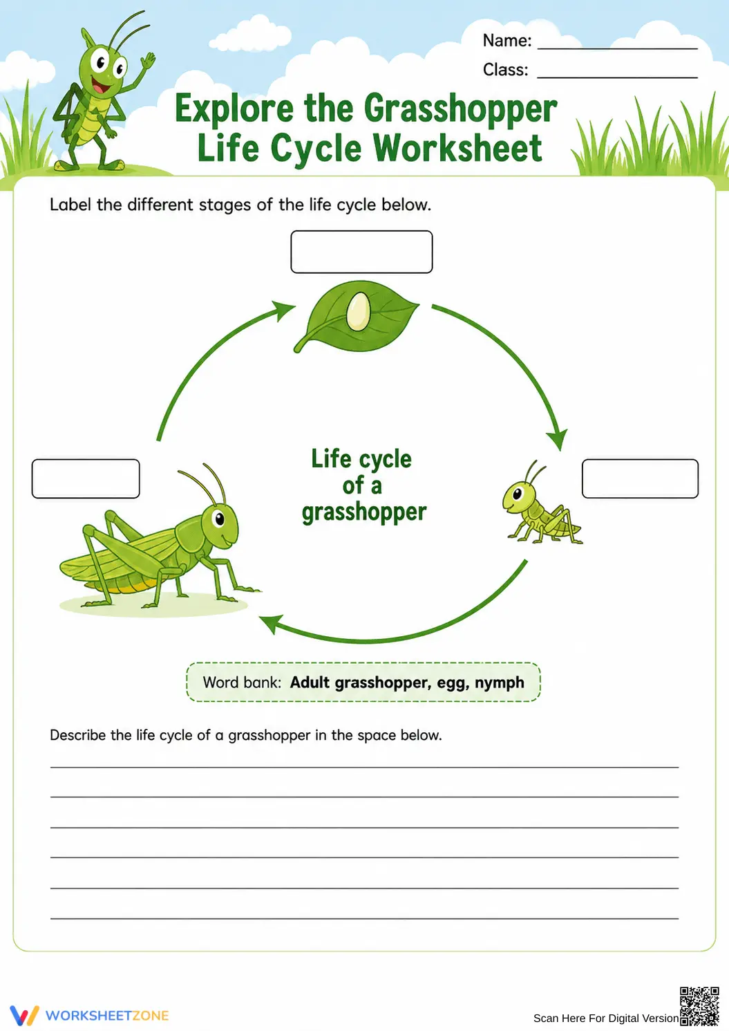 Grasshopper Life Cycle Printable Worksheet | Grade 3 - Page 1