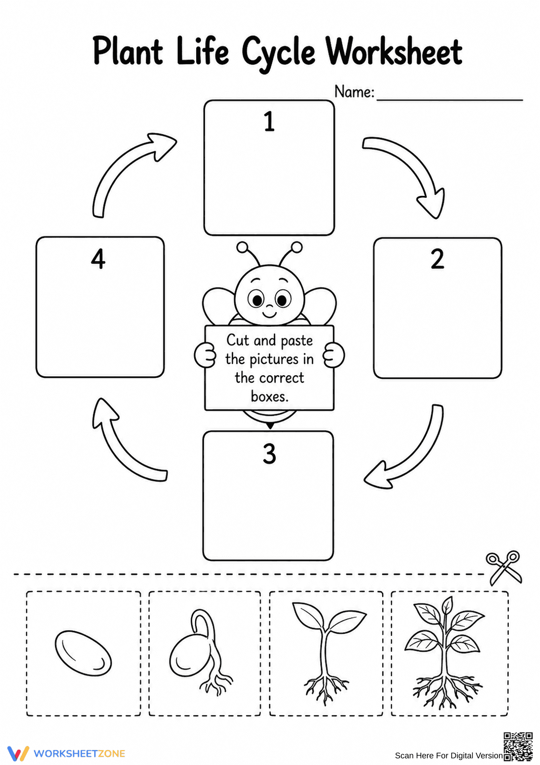 Grade 3 Plant Life Cycle — Printable No-Prep Worksheet - Page 1
