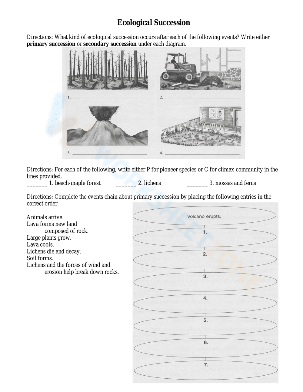Ecological Succession Worksheet - Page 1